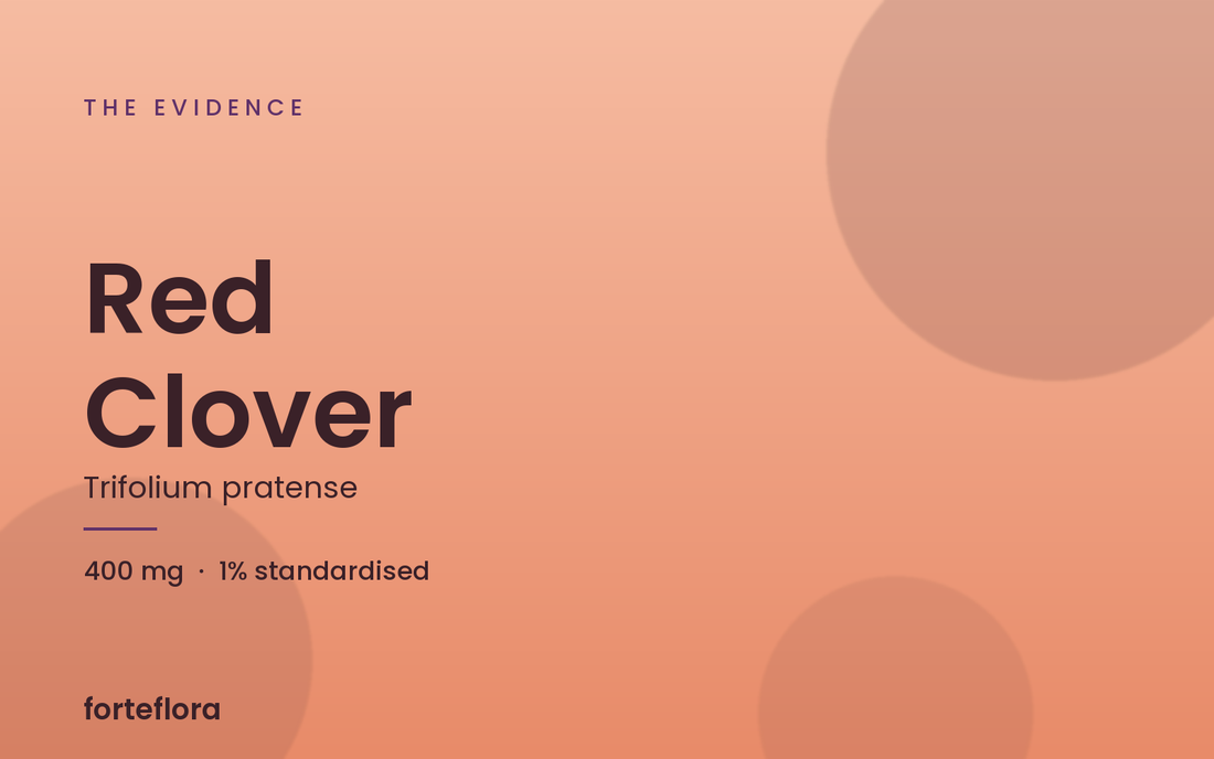 Red clover: the number that decides whether it works