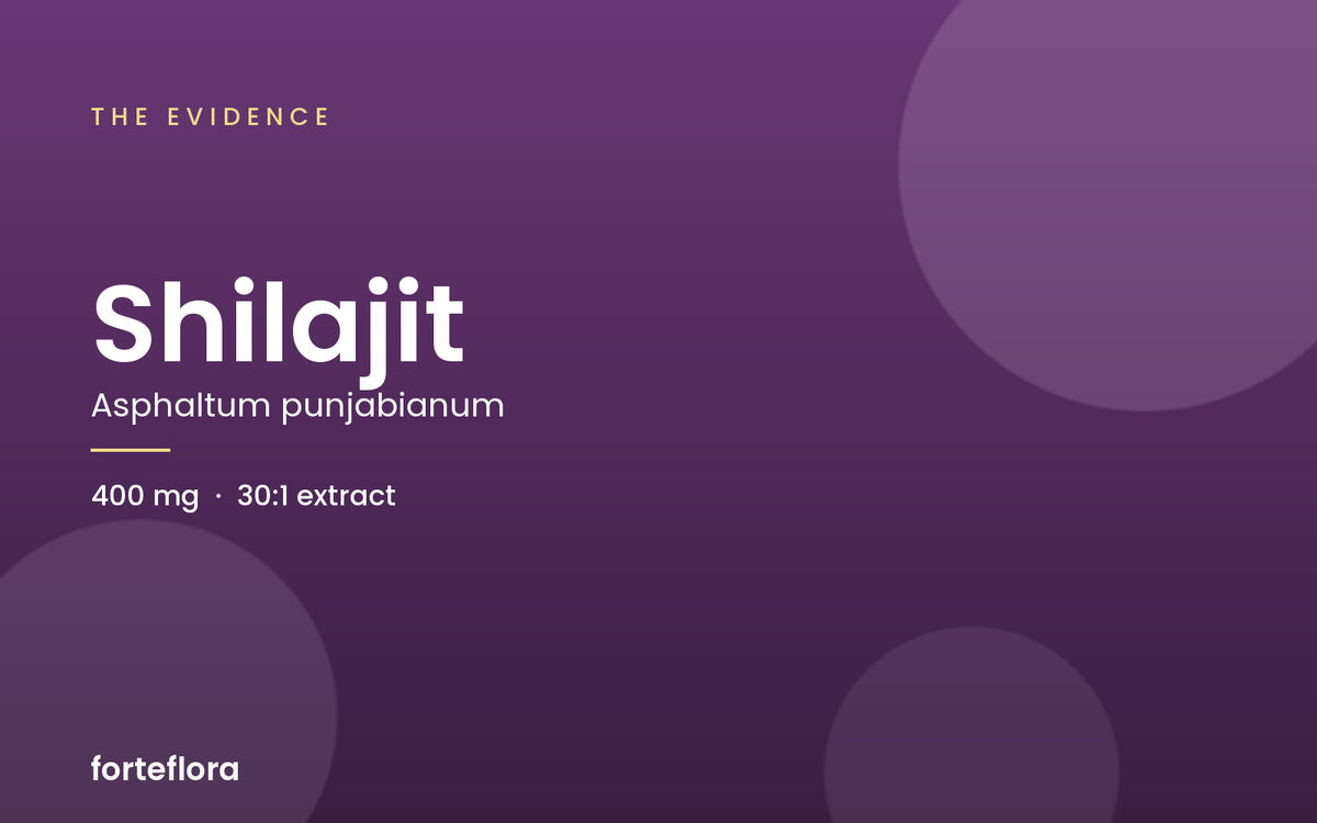 Shilajit: the evidence, and the part nobody talks about