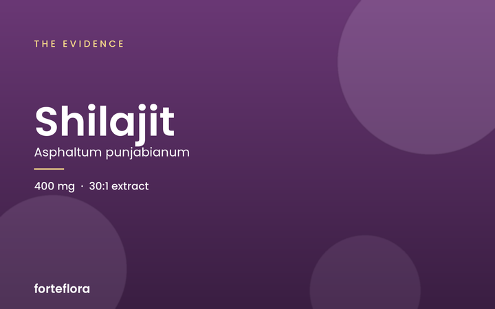 Shilajit: the evidence, and the part nobody talks about